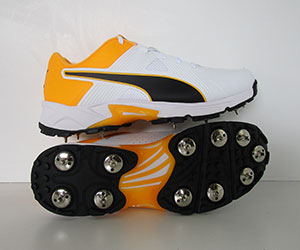 puma cricket shoes south africa