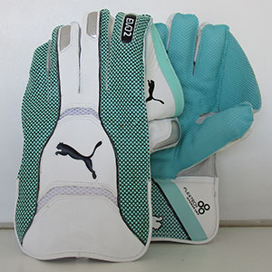 puma evospeed 2 wicket keeping gloves